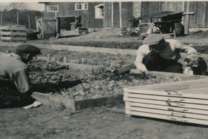 Bilde av Strand Gartneri
